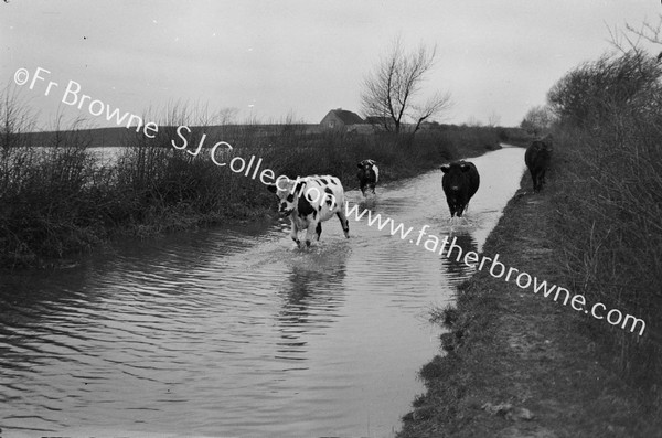 CLARA ROAD EQUINOCTIAL FLOOD